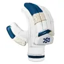  BATTING GLOVES  dsc force 2024